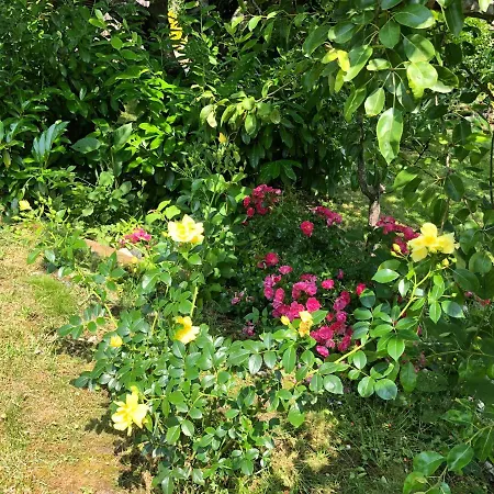 Prázdninový dům La Maison D'olivier