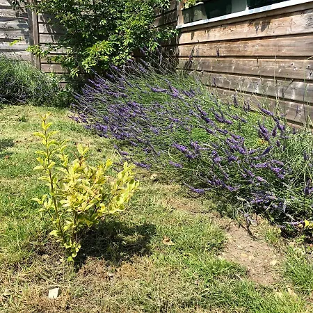 La Maison D'olivier Prázdninový dům