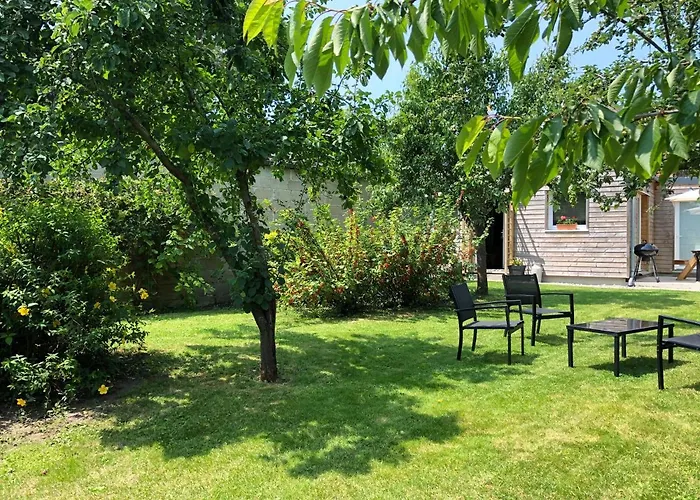 Hébergement de vacances La Maison D'olivier *