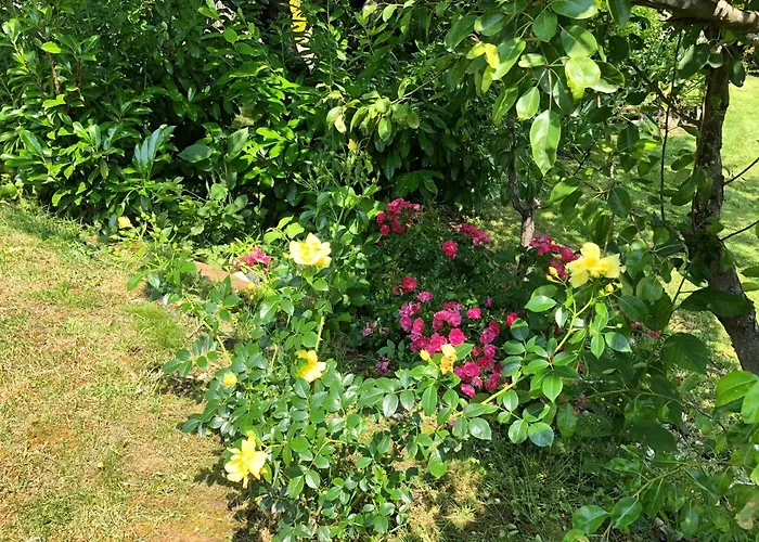 Hébergement de vacances La Maison D'olivier