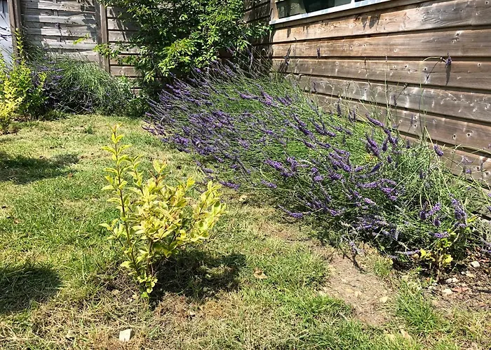 La Maison D'olivier בית נופש