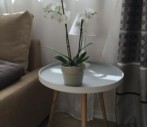 Hébergement de vacances La Maison D'olivier *